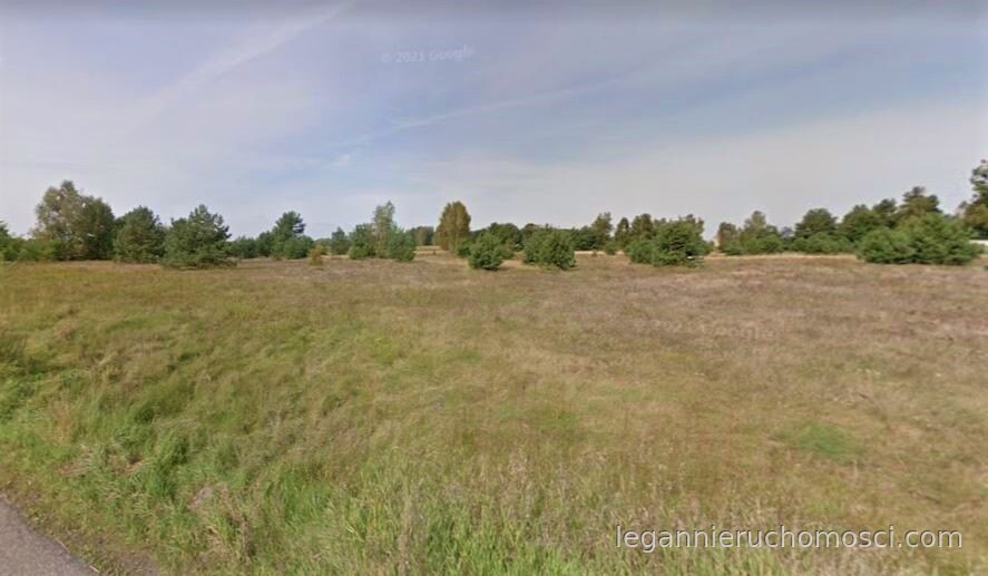 Działka, Goszczanowiec