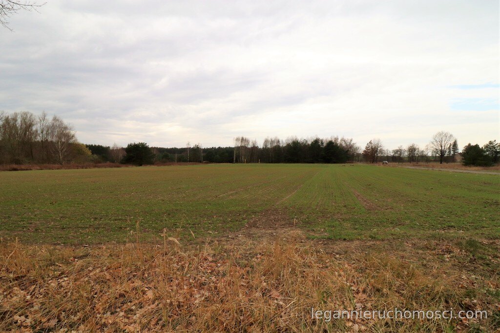 Działka, Gorzów Wielkopolski, Chróścik