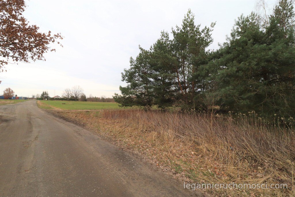 Działka, Gorzów Wielkopolski, Chróścik