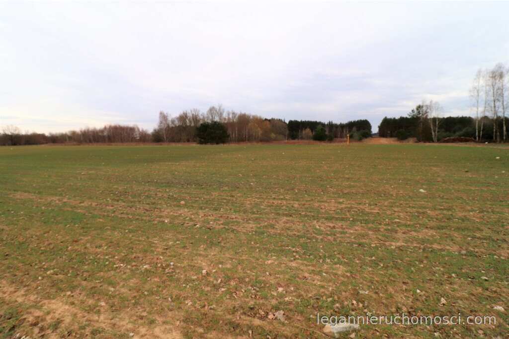 Działka, Gorzów Wielkopolski, Chróścik