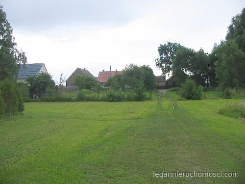 Działka, Witnica