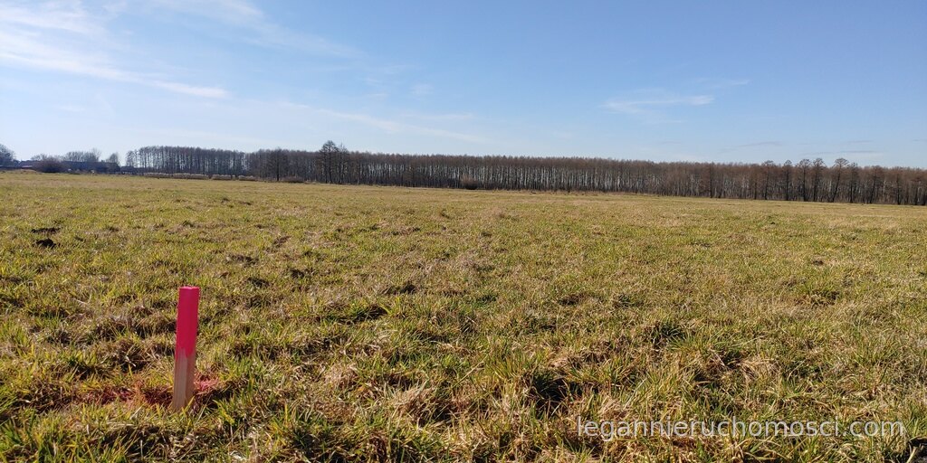 Działka, Bolemin