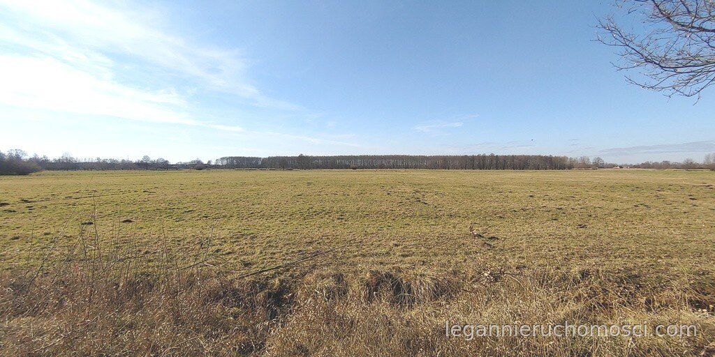 Działka, Bolemin