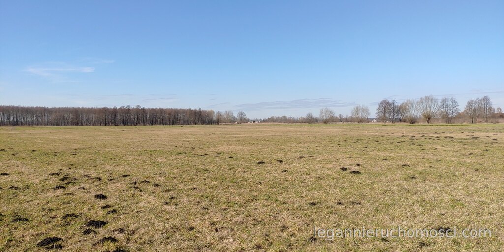 Działka, Bolemin