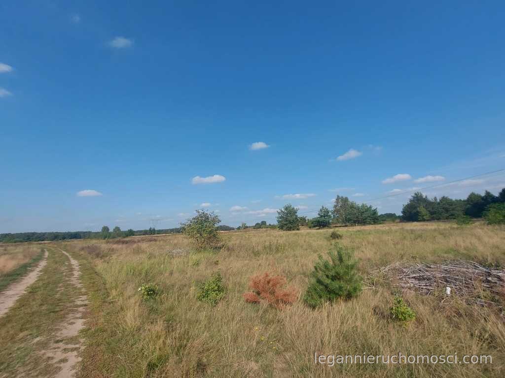 Działka, Osiedle Poznańskie