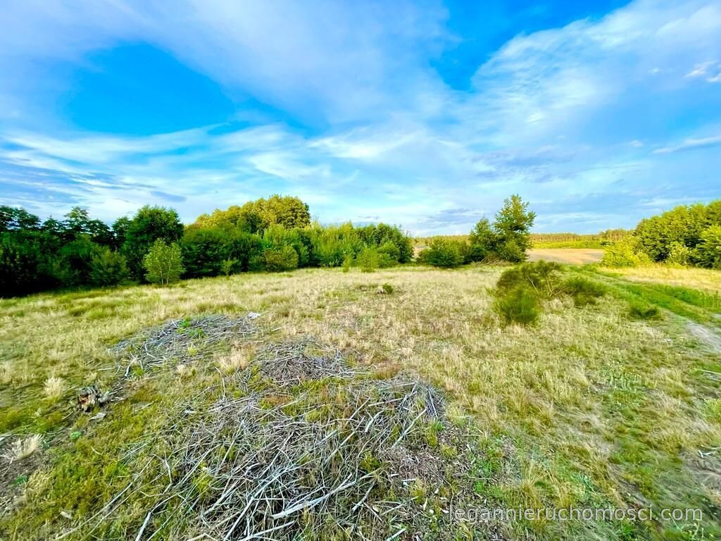 Działka, Gorzów Wielkopolski, Zieleniec