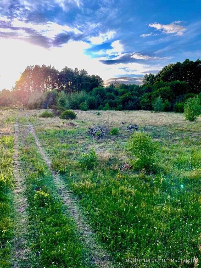 Działka, Gorzów Wielkopolski, Zieleniec