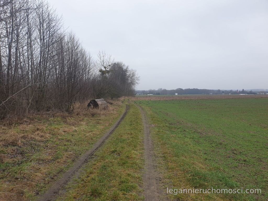 Działka, Gorzów Wielkopolski, Zieleniec