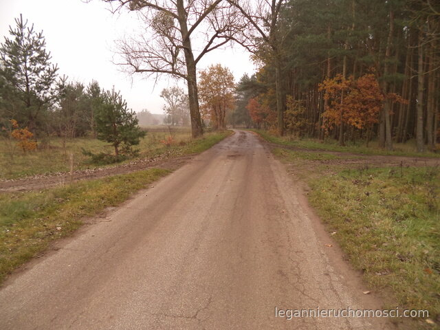 Działka, Goszczanowiec