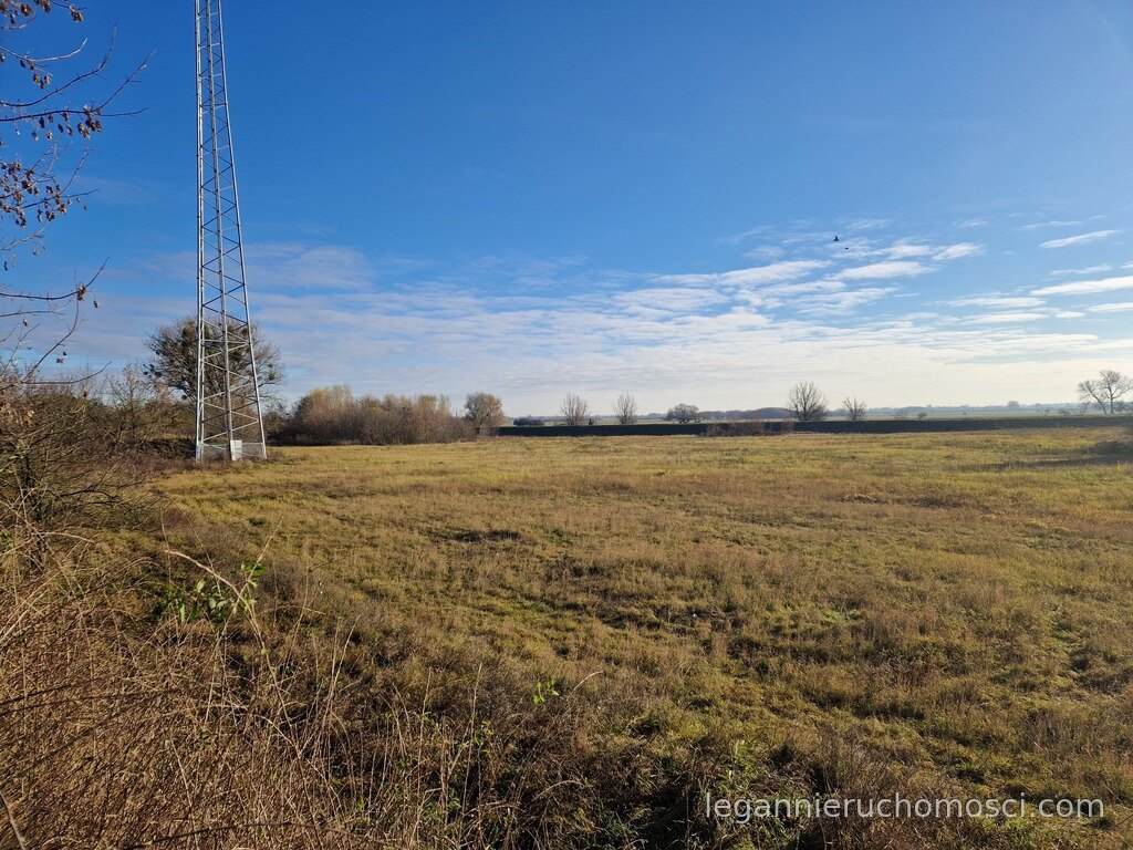 Działka, Gorzów Wielkopolski, Wieprzyce
