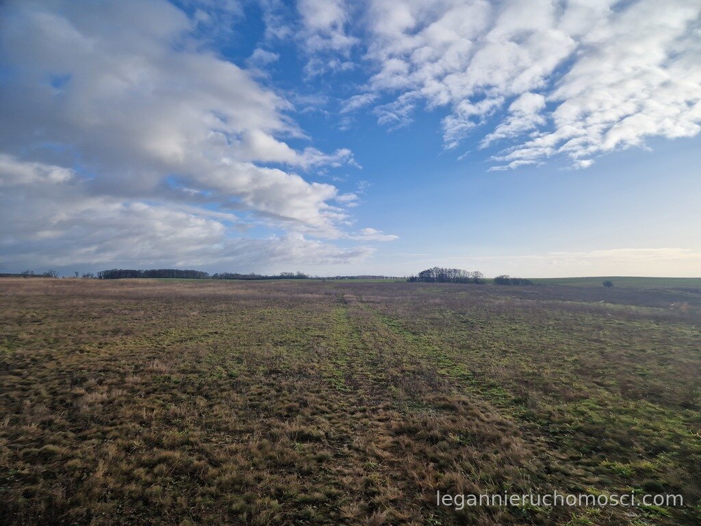 Działka, 2 392,00 m², Janczewo