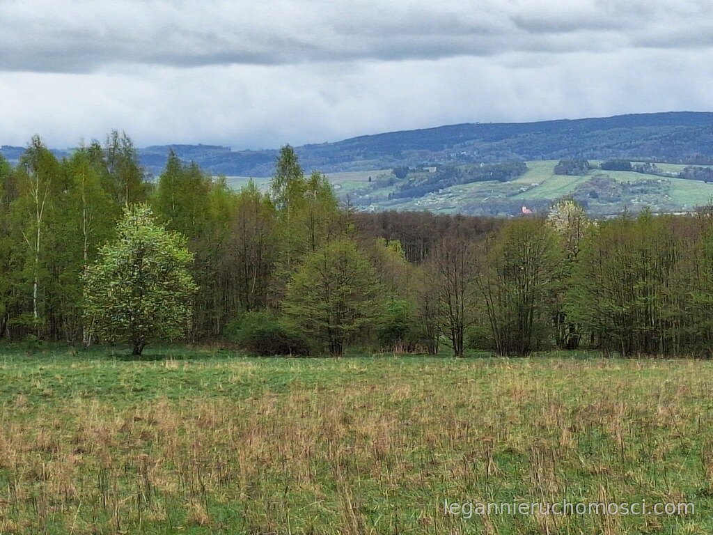 Działka, Jaworek