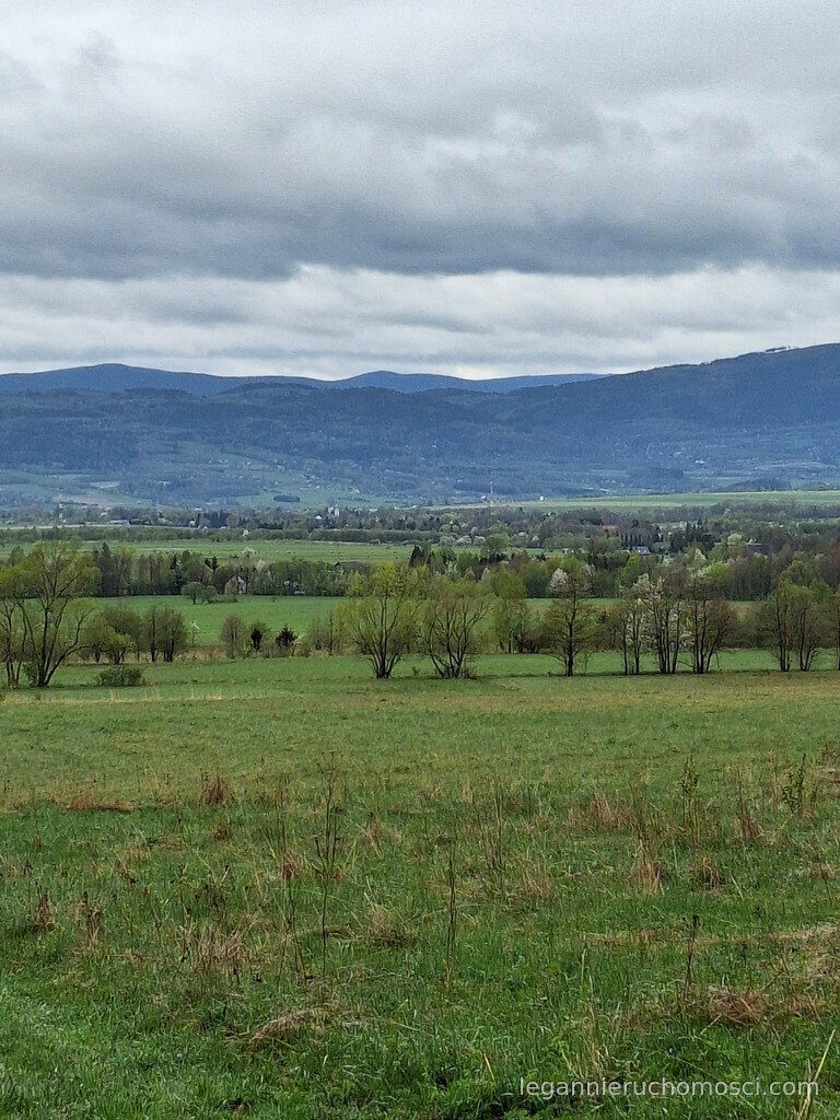 Działka, Jaworek