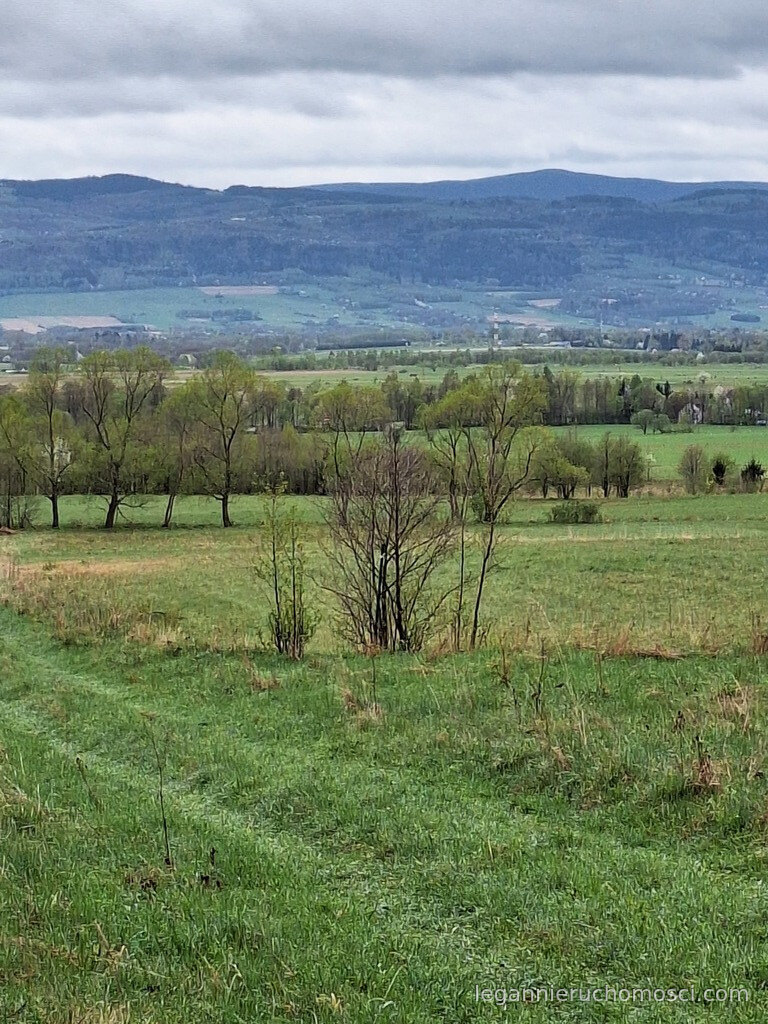 Działka, Jaworek