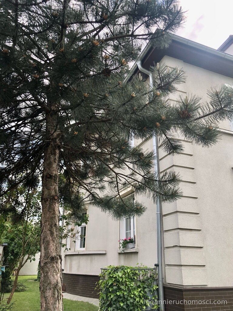 4-pokojowe mieszkanie, 139,00 m², Gorzów Wielkopolski, os. Piaski