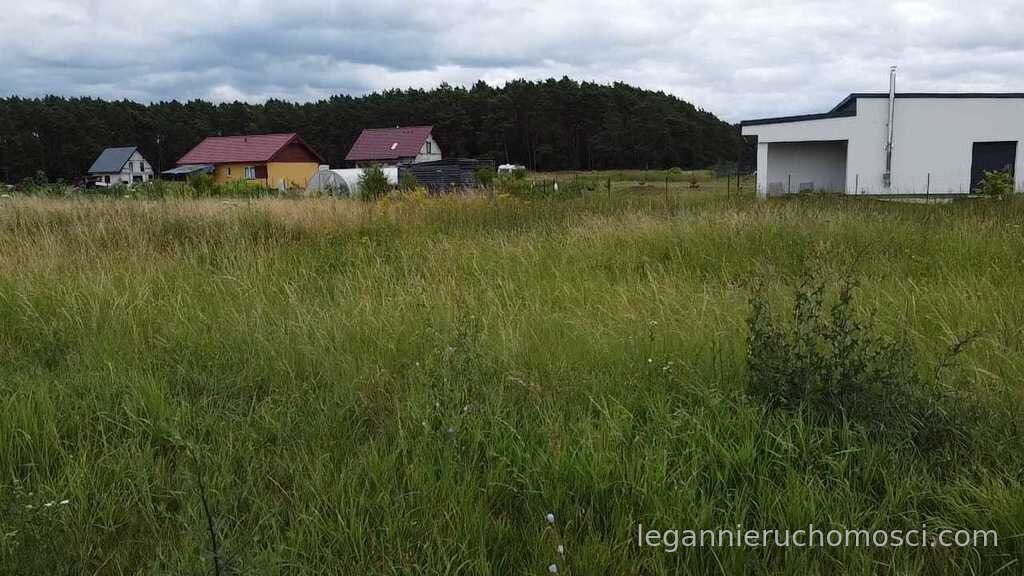 Działka, Murzynowo