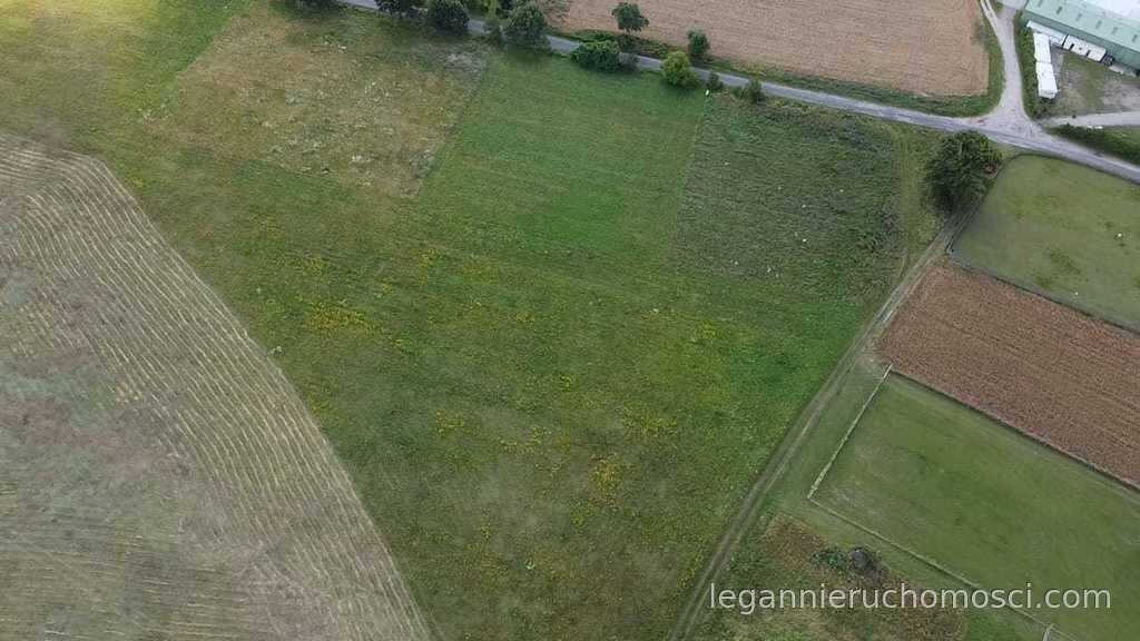 Działka, Świniary