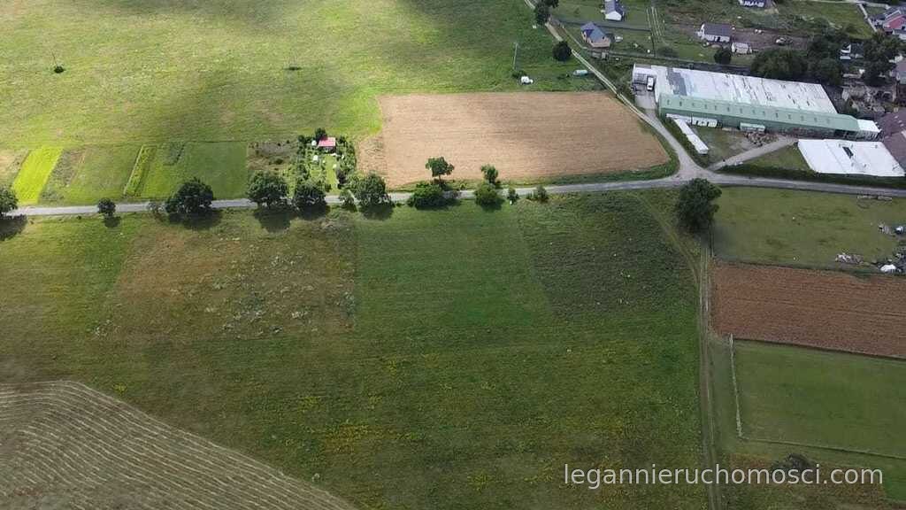 Działka, Świniary