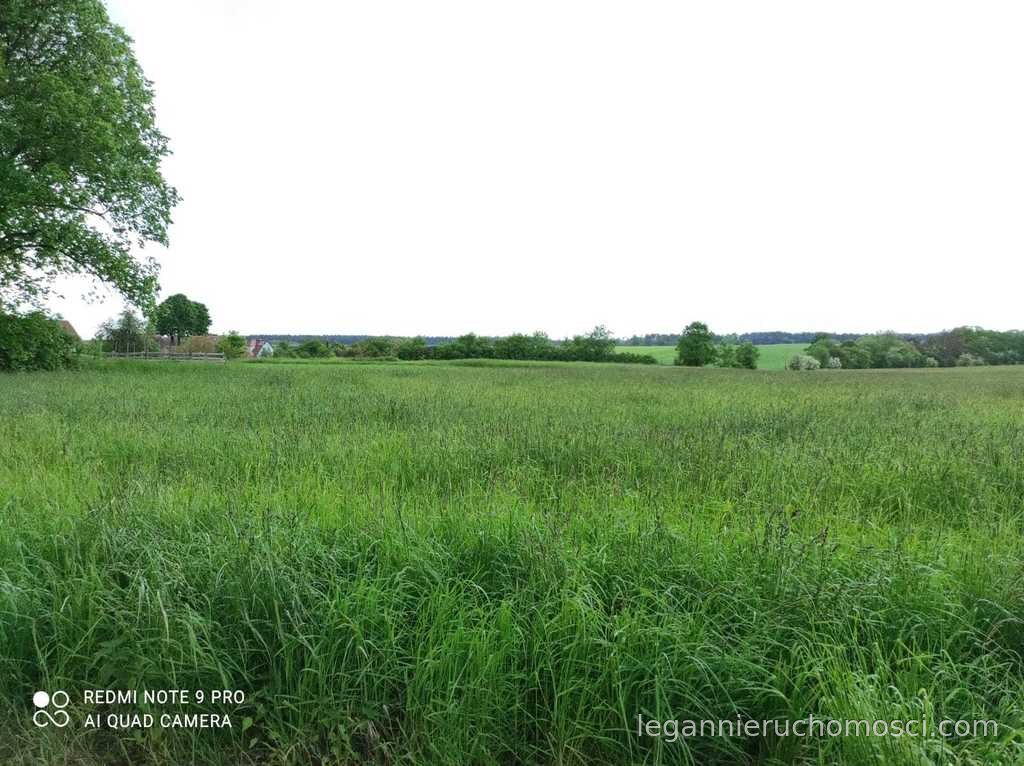 Działka, Świniary