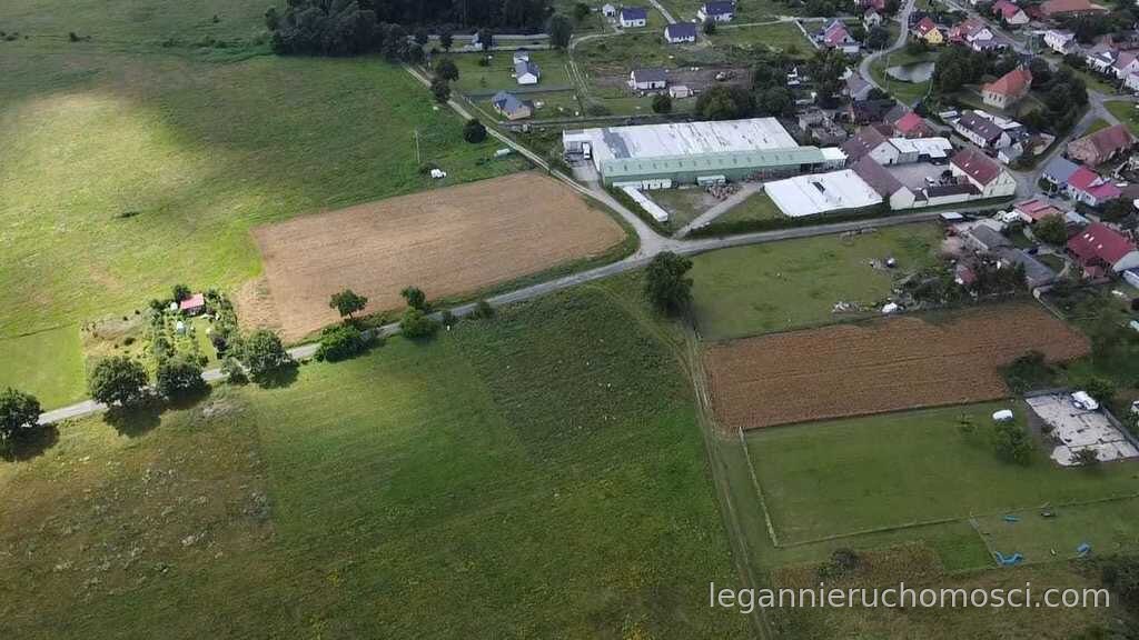 Działka, Świniary