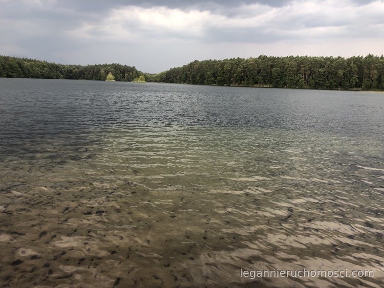 Działka, Danków