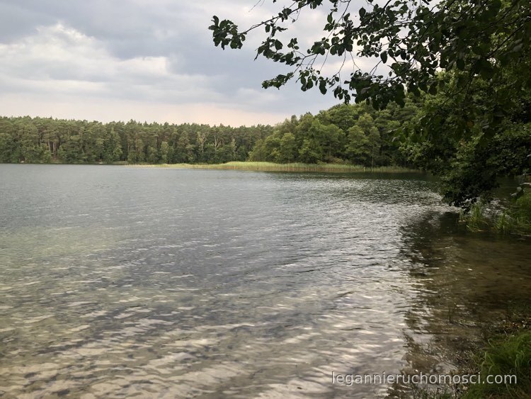 Działka, Danków