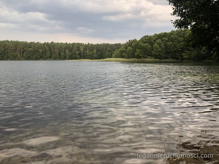 Działka, Danków