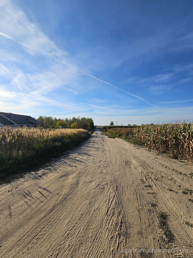 Działka, Czechów